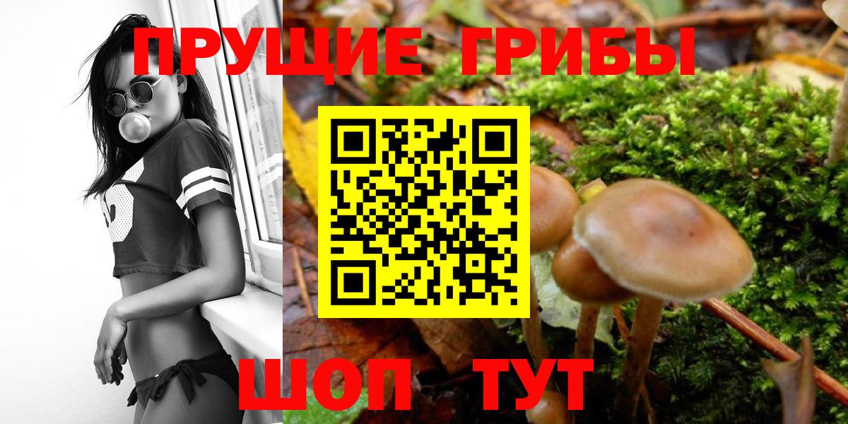 Галлюциногенные грибы GOLDEN TEACHER  Галлюциногенные грибы ЛСД  Вход с VPN  Ленинск-Кузнецкий 