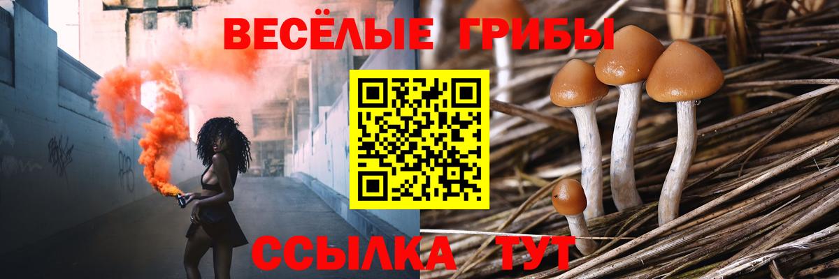 Галлюциногенные грибы прущие грибы Ленинск-Кузнецкий